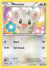 Minccino BW13