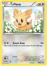 Lillipup BW52