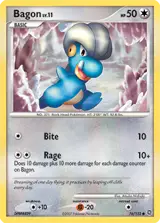 Bagon 76/132