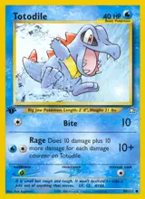 Totodile 80/111