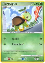 Turtwig 17/17