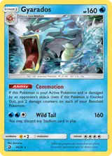 Gyarados 20/70