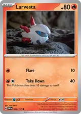 Larvesta 40/197