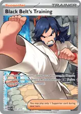 Black Belt's Training