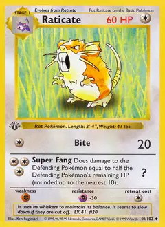 Raticate, imagem de catálogo