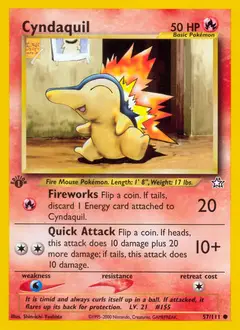 Cyndaquil, imagem de catálogo
