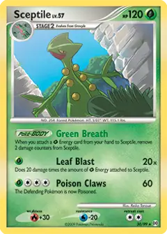 Sceptile, imagem de catálogo