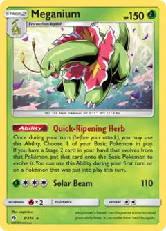 Meganium, imagem de catálogo