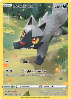 Poochyena, imagem de catálogo
